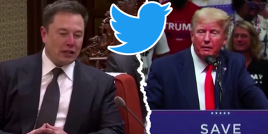 Musk lässt Twitter-Account von Trump entsperren