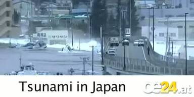 Erdbeben und Flutwelle in Japan