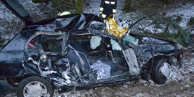 Mit Auto in Krems-Fluss gestürzt