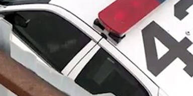 US-Cop beim Sex im Dienstauto erwischt