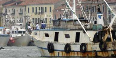 Toter Migrant in LKW am Hafen entdeckt