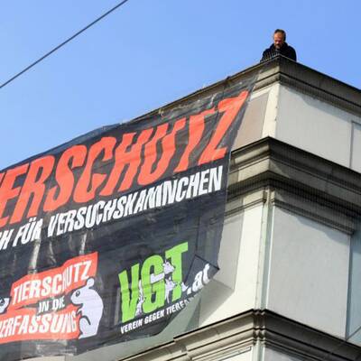 Linz: Protest gegen Tierversuche