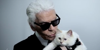 Lagerfeld küsst seine Katze für Kampagne