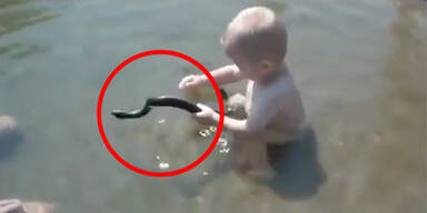 Mutig: Kleinkind spielt mit Wasser-Schlange