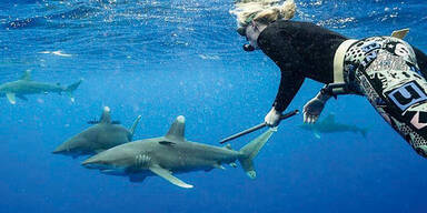 Sexy Lindsey Vonn schwimmt mit Haien