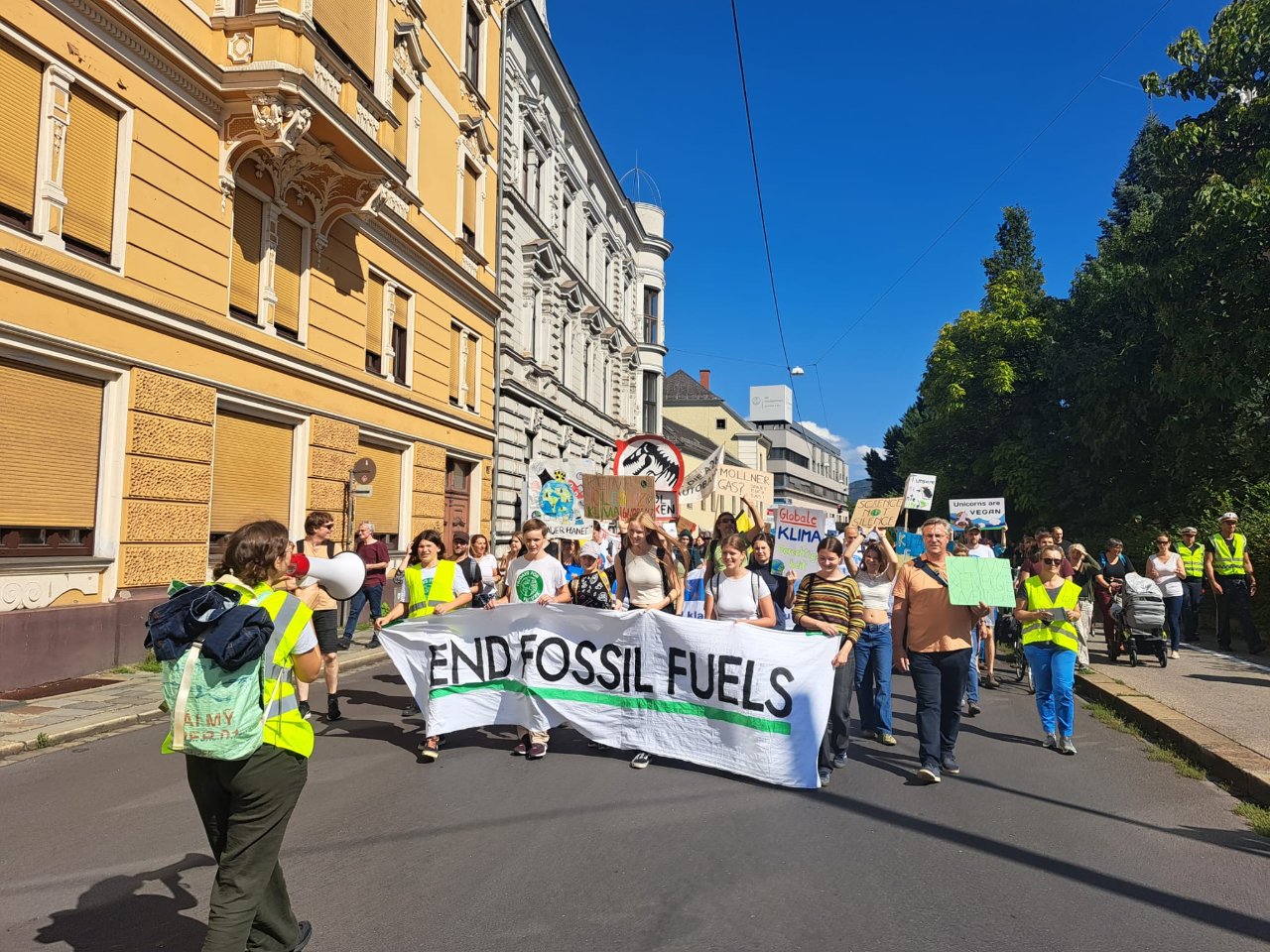 Klimastreik in Linz
