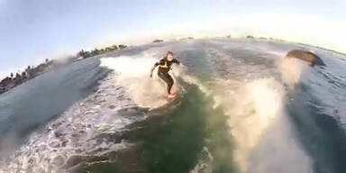 Wakeboarder reitet Welle mit Delphin