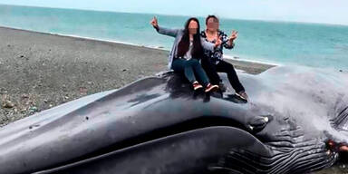 SIE missbrauchen toten Wal für Selfie