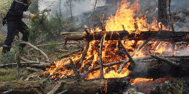 Waldbrand wütete im Bezirk Scheibbs