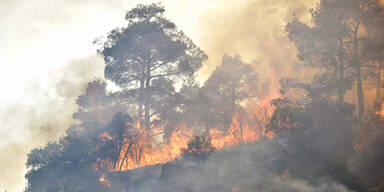 Waldbrand auf Zypern tobt weiter
