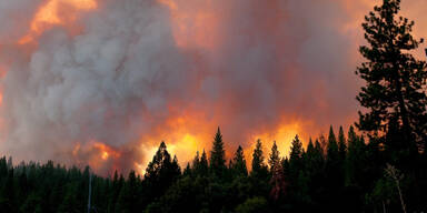 Windböen heizen Waldbrand in Kalifornien an