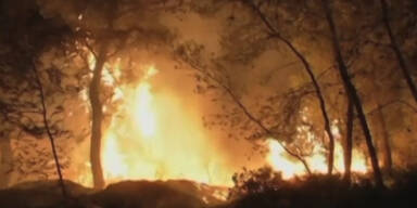 Waldbrände wüten in Griechenland