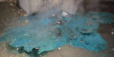 Vor Welt-Toilettentag: Brand-Anschlag auf Dixi-Klo