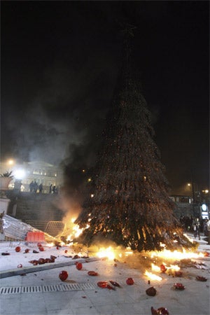 weihnachtsbaum