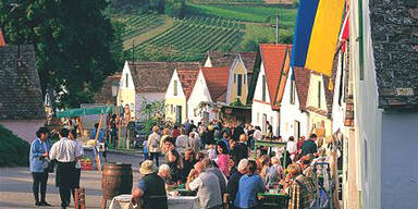 Weinherbst in Niederösterreich