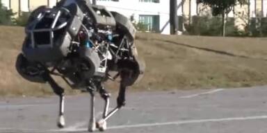 Boston Dynamics: Wildcat