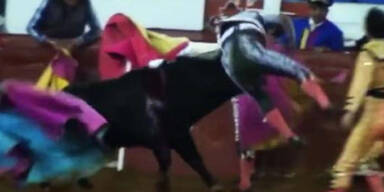 Video: Stier spießt Matador auf