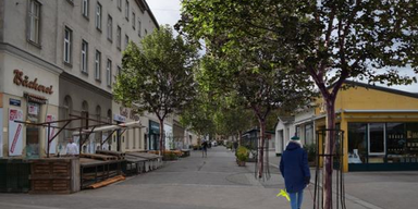 Wien kauft 9 Bäume um 275.000 Euro