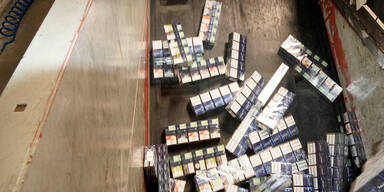 Hier werden 27 Mio. Stück Schmuggel-Zigaretten geschreddert