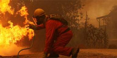 Waldbrände halten Griechenland in Atem